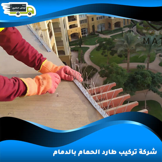 شركة تركيب طارد الحمام بالدمام