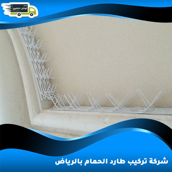 شركة تركيب طارد الحمام بالرياض
